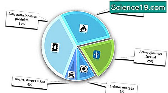 Biomasė Ir Energijos Piramidės Mokslinė Ir Populiarus Multimedijos Versija 2021