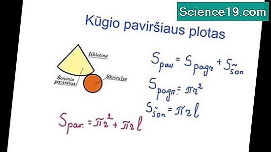 Kaip Apskaiciuoti Prizmės Pavirsiaus Plota Mokslinė Ir Populiarus Multimedijos Versija 2021