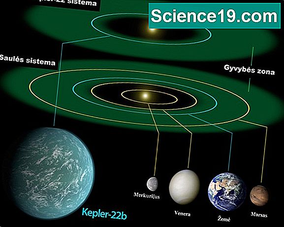 Kokios Yra Musų Saulės Sistemos Planetos Turincios Fiksuota Apsisukimų Skaicių Mokslinė Ir Populiarus Multimedijos Versija 2021