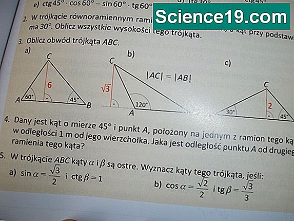 Jak obliczyć punkt izoelektryczny Naukowe I Popularne Portal