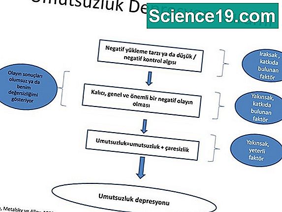 yakınsak plakalar