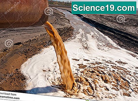    Energy Flow Chemical Cycle Through Ecosystem 