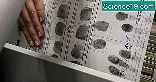 Forensic Science Projects For High School Students