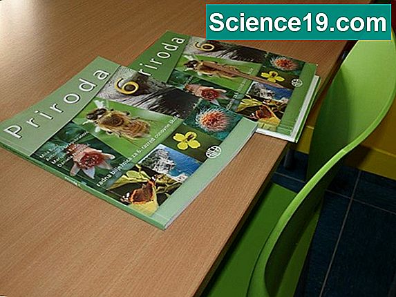 Kako podučavati 3. razrednu odjelu 💫 Znanstveno-Popularni ...