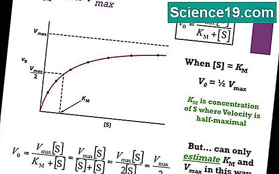 A KCAT S A VMAX Kisz M T Sa Tudom Nyos S N Pszer Multim Di S   How To Calculate Kcat And Vmax 