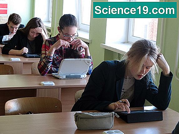 8 Geografiniai pasaulio regionai 💫 Mokslinė Ir Populiarus Multimedijos ...