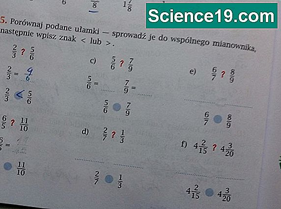 Jak przekonwertować liczby całkowite na ułamki 💫 Naukowe I Popularne