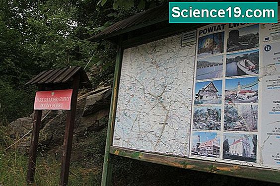 jak-obliczy-podstawow-cz-stotliwo-naukowe-i-popularne-portal