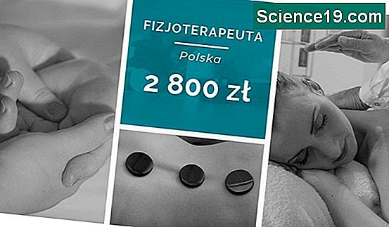 Jak Obliczy Bufory Naukowe I Popularne Portal Multimedialny 2023