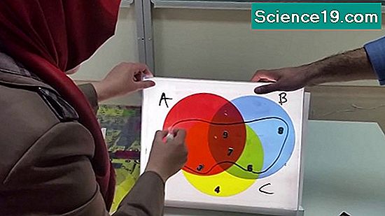 What Does Lcm Mean In Mathematics