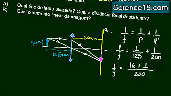 gauss-da-l-m-nedir-bilimsel-ve-pop-ler-multimedya-portal-2024