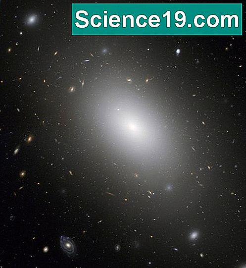 Три основни типа галактики 💫 Научно-Популярен Мултимедиен Портал. 2024